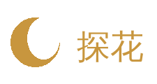 探花